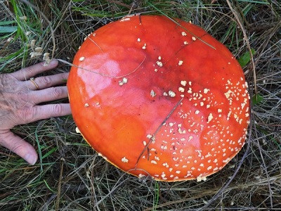 The Wonderfully Mysterious World Beneath Our Feet