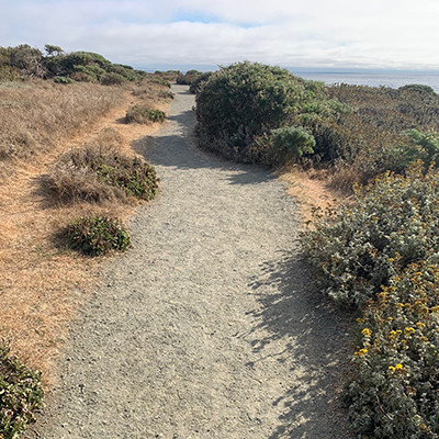 2025.07.19 | Volunteer Workday