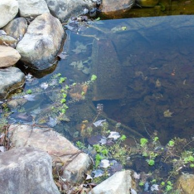 Exploring the Santa Rosa Creek