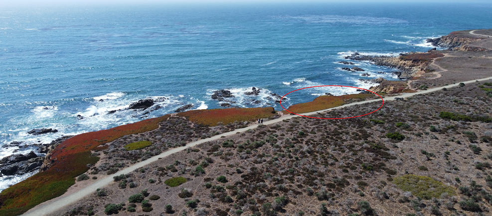 areal photo of ice plant removal